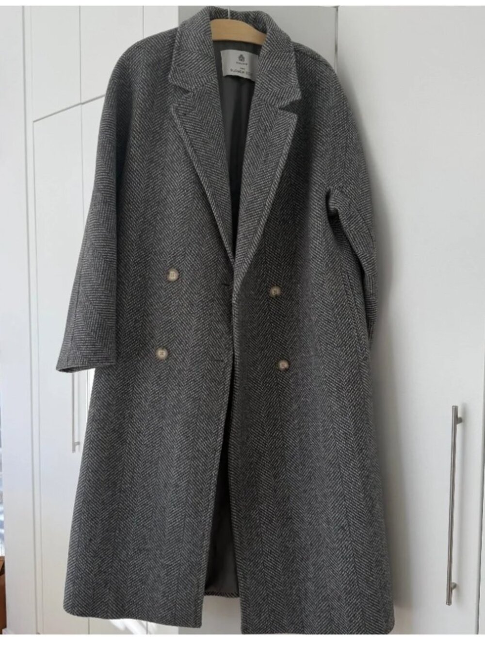 Babaton Aritzia Slouch Coat